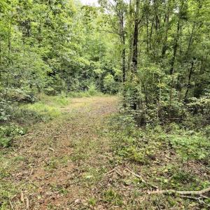 Photo #29 of Off Taylor Farm Lane , Henderson, NC 41.3 acres