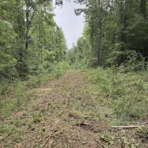 Photo #30 of Off Taylor Farm Lane , Henderson, NC 41.3 acres