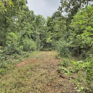 Photo #31 of Off Taylor Farm Lane , Henderson, NC 41.3 acres