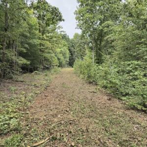 Photo #32 of Off Taylor Farm Lane , Henderson, NC 41.3 acres