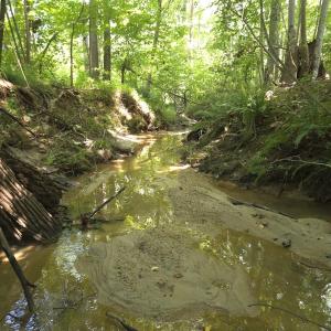 Photo #33 of Off Taylor Farm Lane , Henderson, NC 41.3 acres