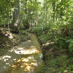 Photo #34 of Off Taylor Farm Lane , Henderson, NC 41.3 acres