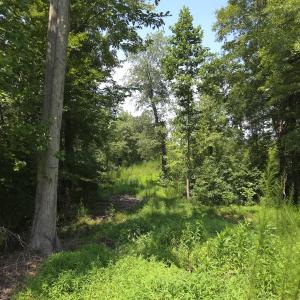 Photo #37 of Off Taylor Farm Lane , Henderson, NC 41.3 acres