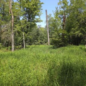 Photo #38 of Off Taylor Farm Lane , Henderson, NC 41.3 acres