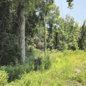 Photo #40 of Off Taylor Farm Lane , Henderson, NC 41.3 acres