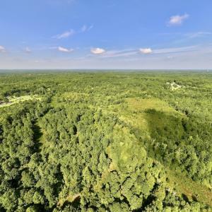 Photo #5 of Off Taylor Farm Lane , Henderson, NC 41.3 acres
