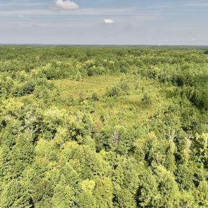 Photo #7 of Off Taylor Farm Lane , Henderson, NC 41.3 acres