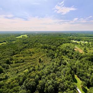 Photo #8 of Off Taylor Farm Lane , Henderson, NC 41.3 acres