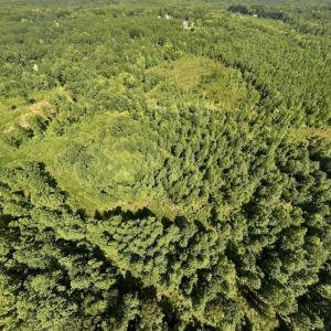 Photo #9 of Off Taylor Farm Lane , Henderson, NC 41.3 acres