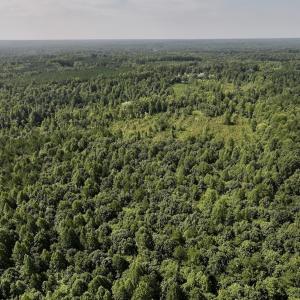 Photo #43 of Off Taylor Farm Lane , Henderson, NC 41.3 acres