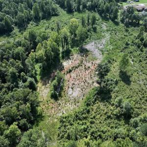 Photo #45 of Off Taylor Farm Lane , Henderson, NC 41.3 acres