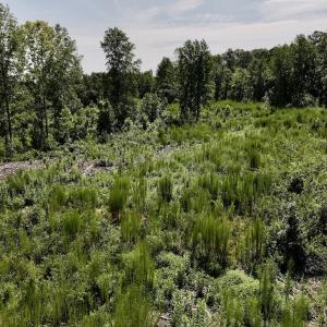 Photo #47 of Off Taylor Farm Lane , Henderson, NC 41.3 acres