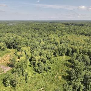 Photo #48 of Off Taylor Farm Lane , Henderson, NC 41.3 acres