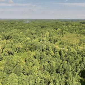 Photo #49 of Off Taylor Farm Lane , Henderson, NC 41.3 acres