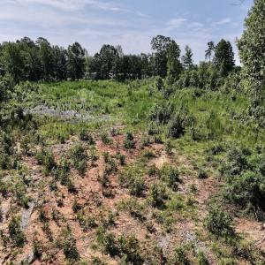 Photo #51 of Off Taylor Farm Lane , Henderson, NC 41.3 acres