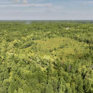 Photo #52 of Off Taylor Farm Lane , Henderson, NC 41.3 acres