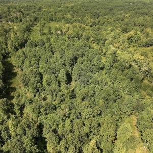 Photo #54 of Off Taylor Farm Lane , Henderson, NC 41.3 acres
