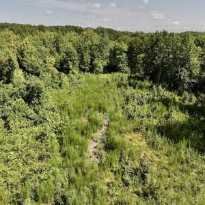 Photo #55 of Off Taylor Farm Lane , Henderson, NC 41.3 acres