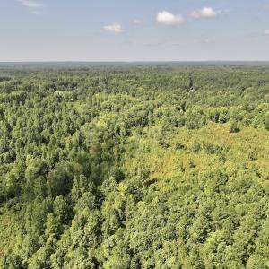 Photo #56 of Off Taylor Farm Lane , Henderson, NC 41.3 acres