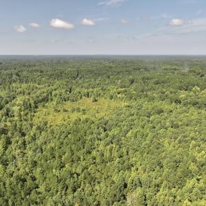 Photo #58 of Off Taylor Farm Lane , Henderson, NC 41.3 acres