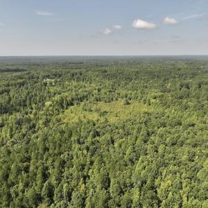 Photo #59 of Off Taylor Farm Lane , Henderson, NC 41.3 acres