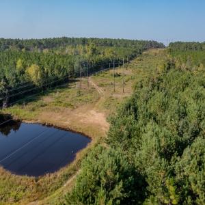 Photo #12 of SOLD property in TBD Jimmy Carriker Road, Ellerbe, NC 122.8 acres