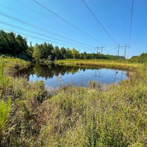 Photo #13 of SOLD property in TBD Jimmy Carriker Road, Ellerbe, NC 122.8 acres
