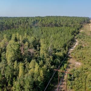 Photo #14 of SOLD property in TBD Jimmy Carriker Road, Ellerbe, NC 122.8 acres