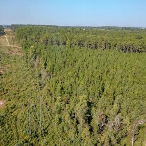 Photo #15 of SOLD property in TBD Jimmy Carriker Road, Ellerbe, NC 122.8 acres