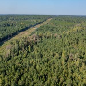 Photo #16 of SOLD property in TBD Jimmy Carriker Road, Ellerbe, NC 122.8 acres