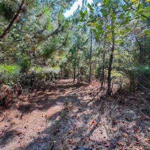 Photo #17 of SOLD property in TBD Jimmy Carriker Road, Ellerbe, NC 122.8 acres