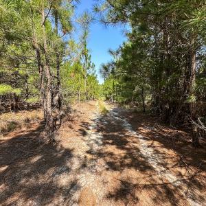 Photo #19 of SOLD property in TBD Jimmy Carriker Road, Ellerbe, NC 122.8 acres