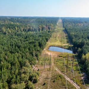 Photo #3 of SOLD property in TBD Jimmy Carriker Road, Ellerbe, NC 122.8 acres