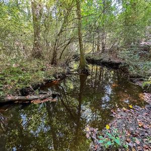 Photo #27 of SOLD property in TBD Jimmy Carriker Road, Ellerbe, NC 122.8 acres