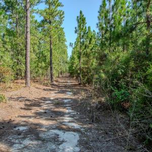 Photo #29 of SOLD property in TBD Jimmy Carriker Road, Ellerbe, NC 122.8 acres