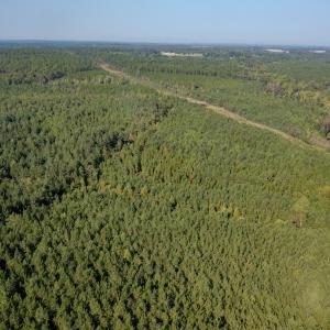 Photo #4 of SOLD property in TBD Jimmy Carriker Road, Ellerbe, NC 122.8 acres