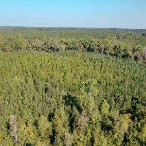 Photo #31 of SOLD property in TBD Jimmy Carriker Road, Ellerbe, NC 122.8 acres