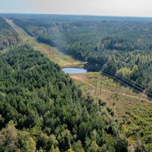 Photo #32 of SOLD property in TBD Jimmy Carriker Road, Ellerbe, NC 122.8 acres