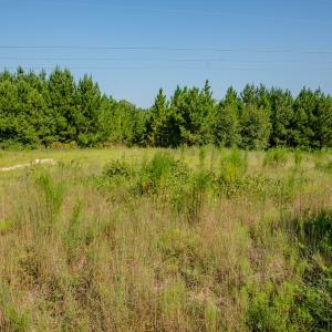 Photo #7 of SOLD property in TBD Jimmy Carriker Road, Ellerbe, NC 122.8 acres