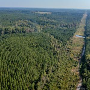 Photo #8 of SOLD property in TBD Jimmy Carriker Road, Ellerbe, NC 122.8 acres