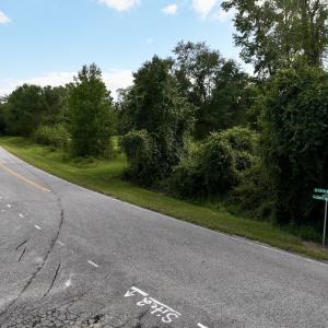 Photo #14 of SOLD property in Off Boss Mclawhorn Rd, Grifton, NC 17.5 acres