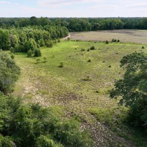 Photo #18 of SOLD property in Off Boss Mclawhorn Rd, Grifton, NC 17.5 acres