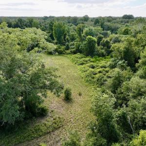 Photo #19 of SOLD property in Off Boss Mclawhorn Rd, Grifton, NC 17.5 acres