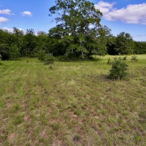 Photo #20 of SOLD property in Off Boss Mclawhorn Rd, Grifton, NC 17.5 acres