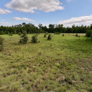 Photo #21 of SOLD property in Off Boss Mclawhorn Rd, Grifton, NC 17.5 acres