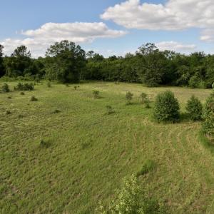 Photo #24 of SOLD property in Off Boss Mclawhorn Rd, Grifton, NC 17.5 acres