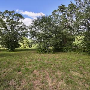 Photo #26 of SOLD property in Off Boss Mclawhorn Rd, Grifton, NC 17.5 acres
