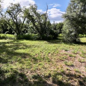 Photo #28 of SOLD property in Off Boss Mclawhorn Rd, Grifton, NC 17.5 acres