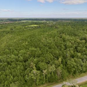 Photo #2 of SOLD property in Off Boss Mclawhorn Rd, Grifton, NC 25.2 acres