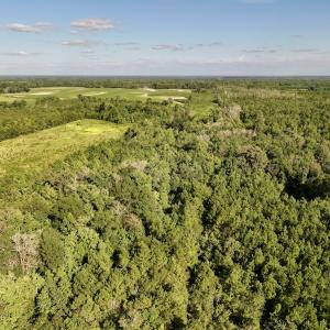 Photo #14 of SOLD property in Off Boss Mclawhorn Rd, Grifton, NC 25.2 acres